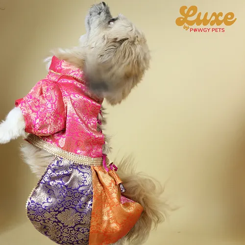 Pawgypets Luxe Brocade Colour Block Lehenga Dogs and Cats