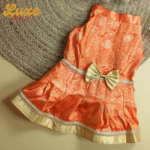 Pawgypets Luxe Brocade Dress Dogs and Cats (Orange)