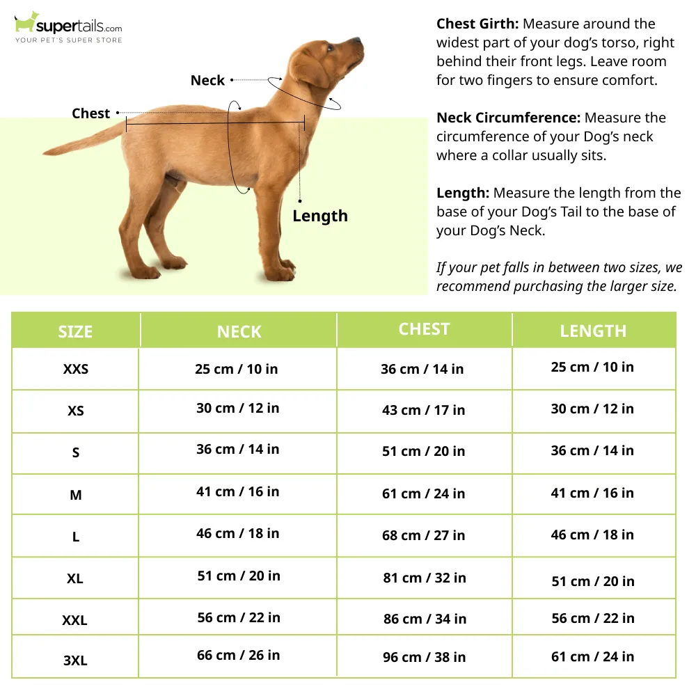 Pawgypets Multi Heart Casual Dress for Dogs and Cats
