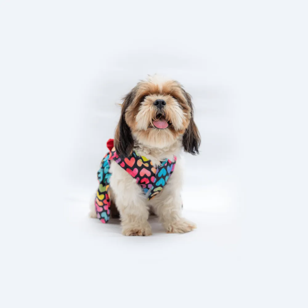 Pawgypets Multi Heart Casual Dress for Dogs and Cats