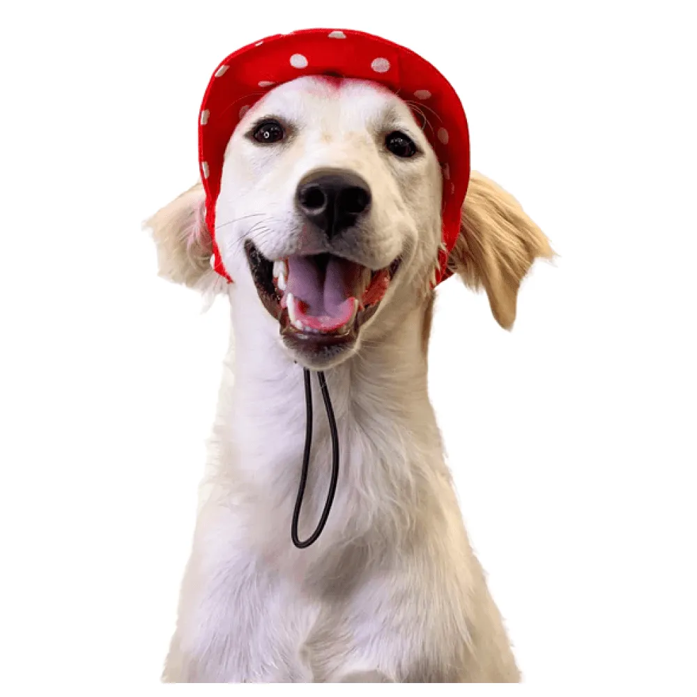 Pawgypets Polka Cap for Dogs and Cats (Red)