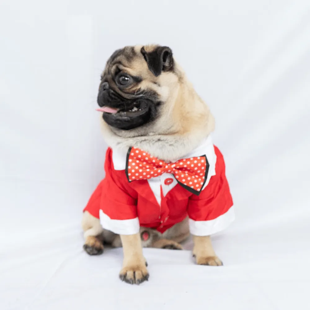 Pawgypets Tuxedo for Dogs and Cats (Red)
