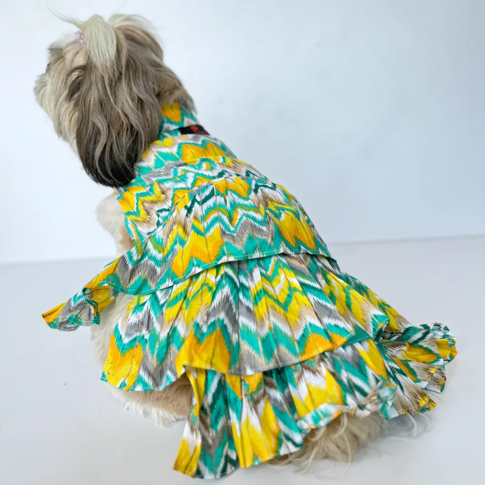 Pawgypets Zig Zag Dress for Dogs and Cats (Green)