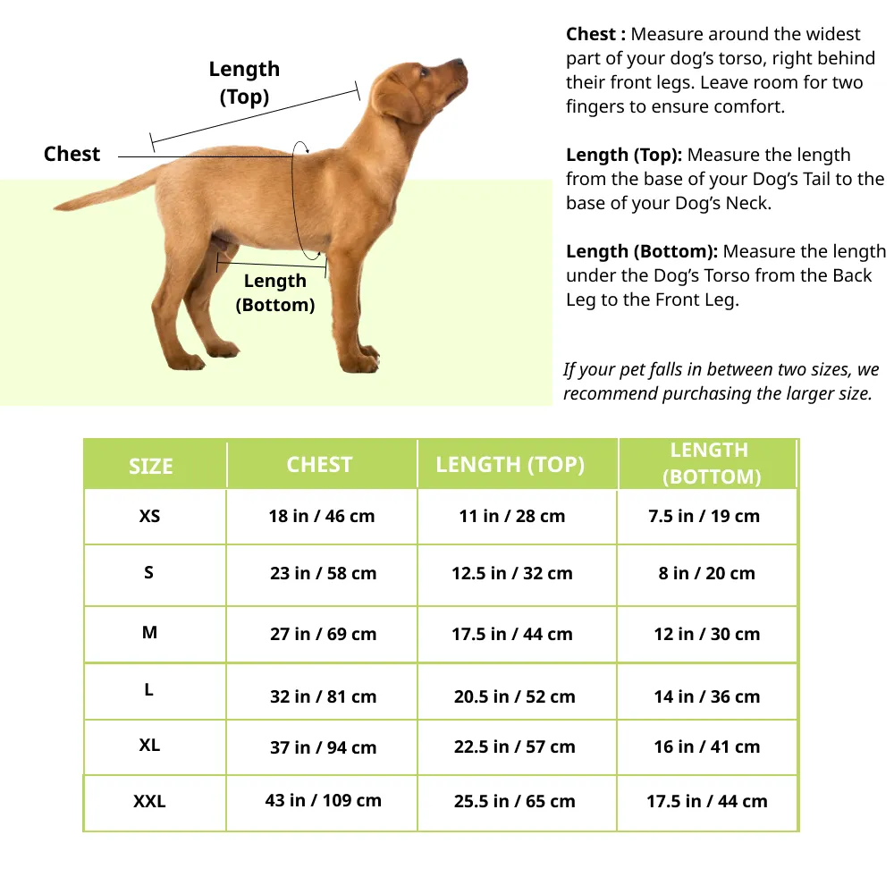 Pawsindia Cuddle Weather Hoodie for Dogs (Yellow)