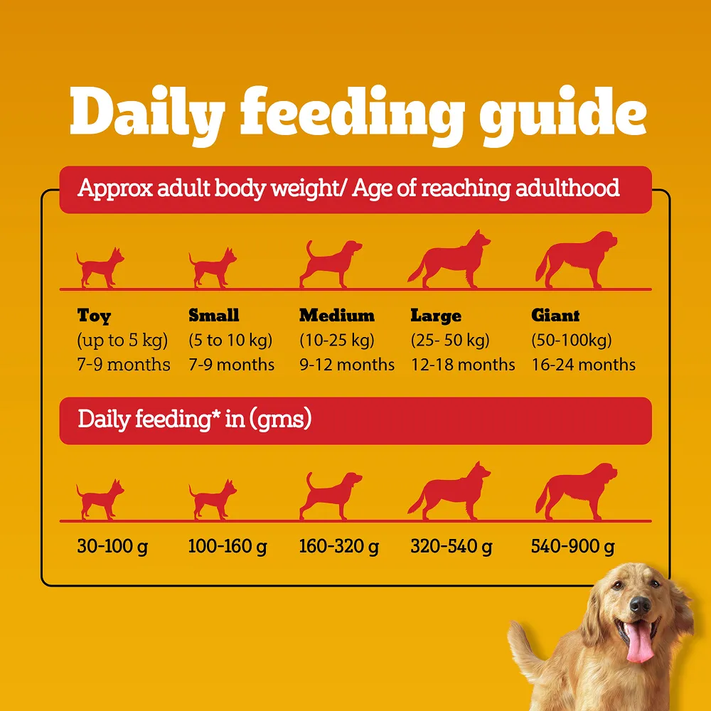Pedigree Chicken and Vegetables Adult Dog Dry Food