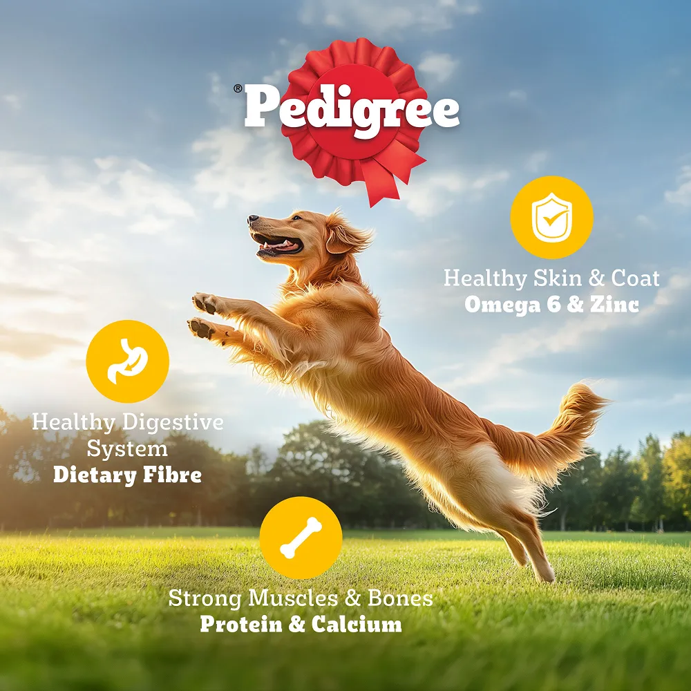 Pedigree Chicken, Egg and Rice Adult Dog Dry Food