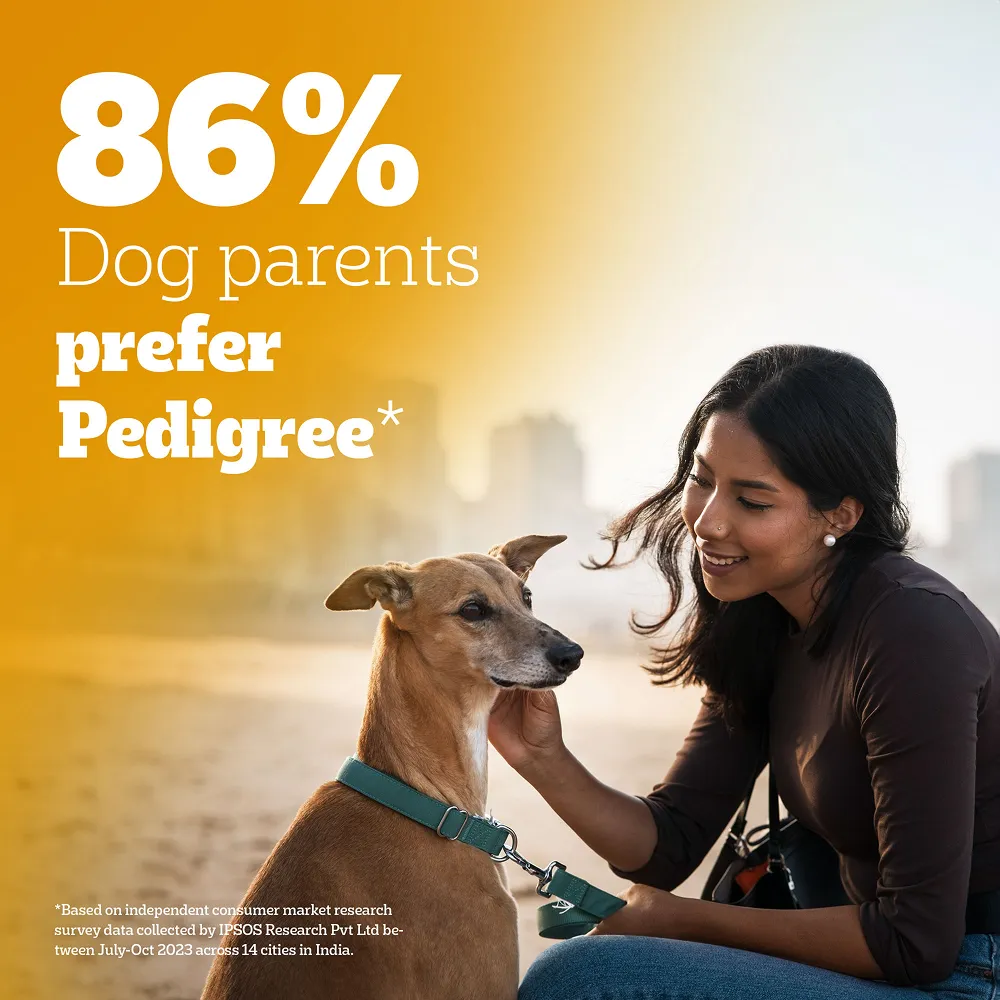 Pedigree Chicken, Egg and Rice Adult Dog Dry Food