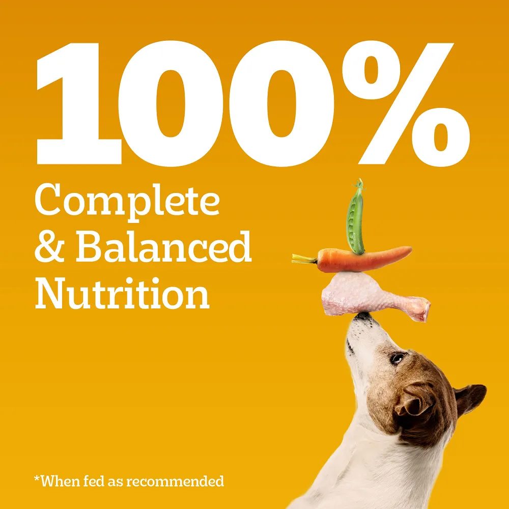 Pedigree Chicken, Egg and Rice Adult Dog Dry Food