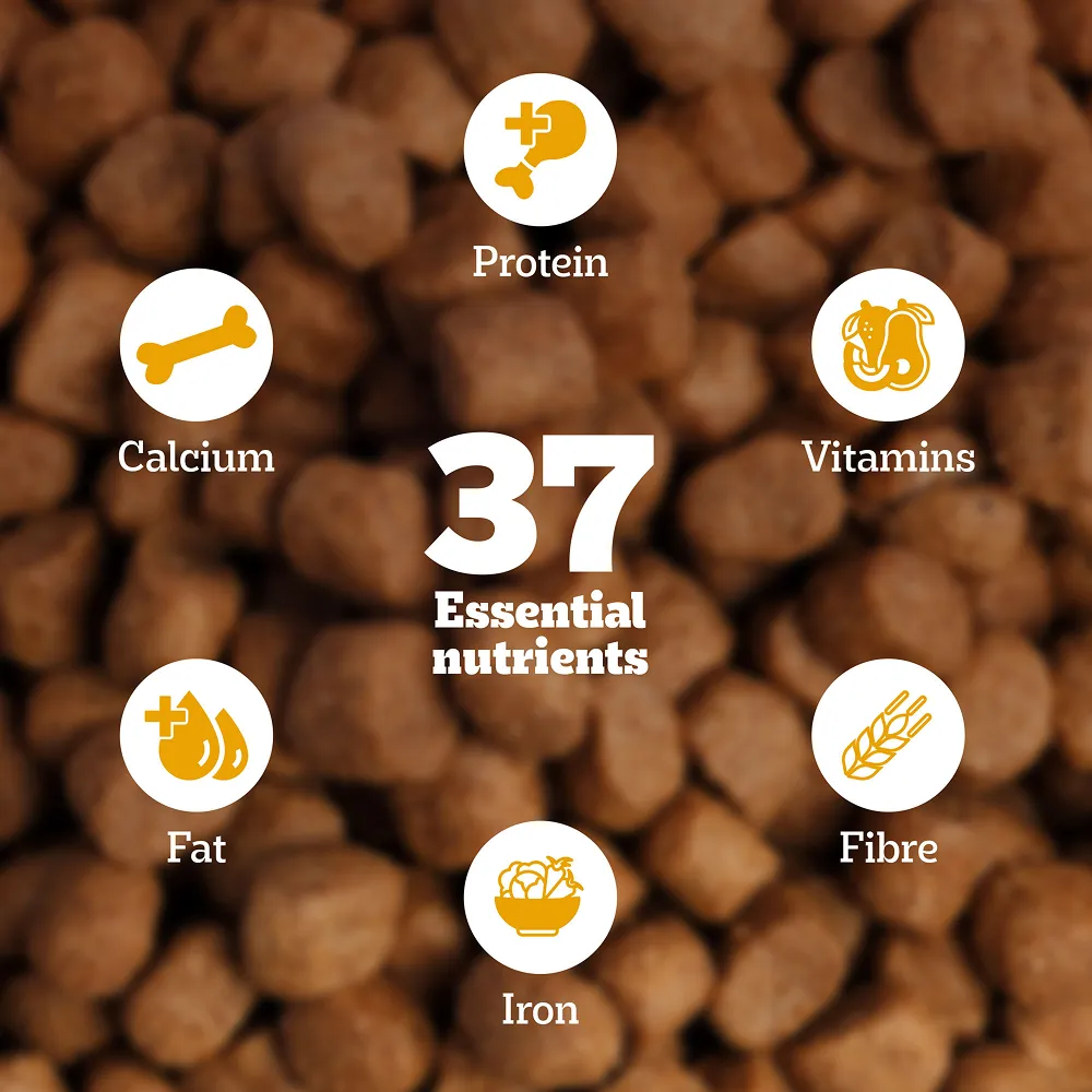 Pedigree Meat & Rice Adult Dog Dry Food