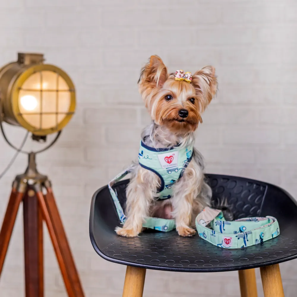 Pet And Parents Rolly Polly Reversible Harness for Dogs