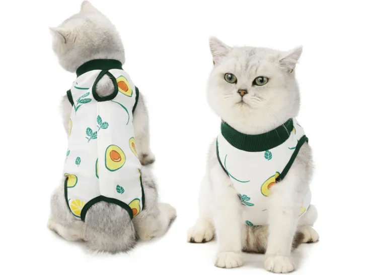 Pet Clothes Avocado Pets Qatar