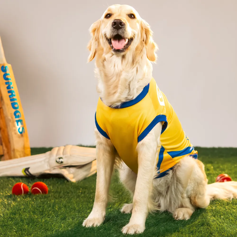 Pet Set Go Chennai Super Paws IPL Jersey for Dogs (Yellow)