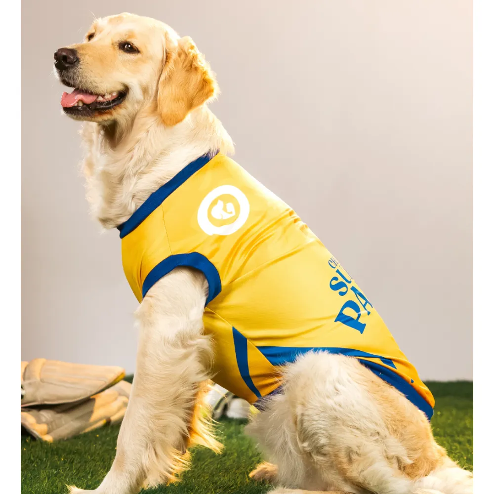 Pet Set Go Chennai Super Paws IPL Jersey for Dogs (Yellow)