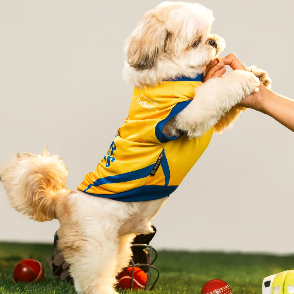 Pet Set Go Chennai Super Paws IPL Jersey for Dogs (Yellow)