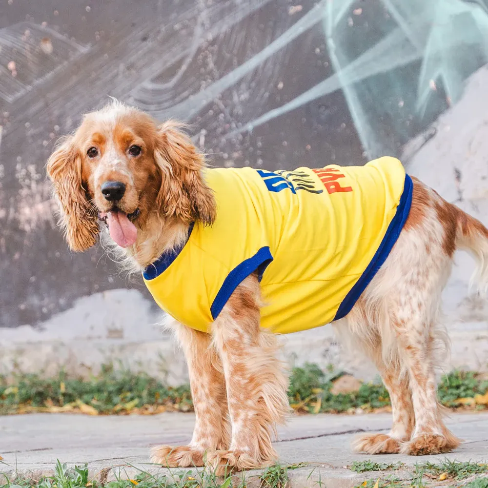 Pet Set Go Dekho Magar Pyaar Sey Tshirt for Dogs (Yellow)