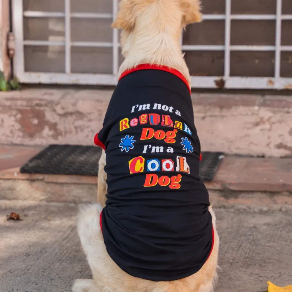 Pet Set Go Im Not a Regular Dog T shirt for Dogs (Black)