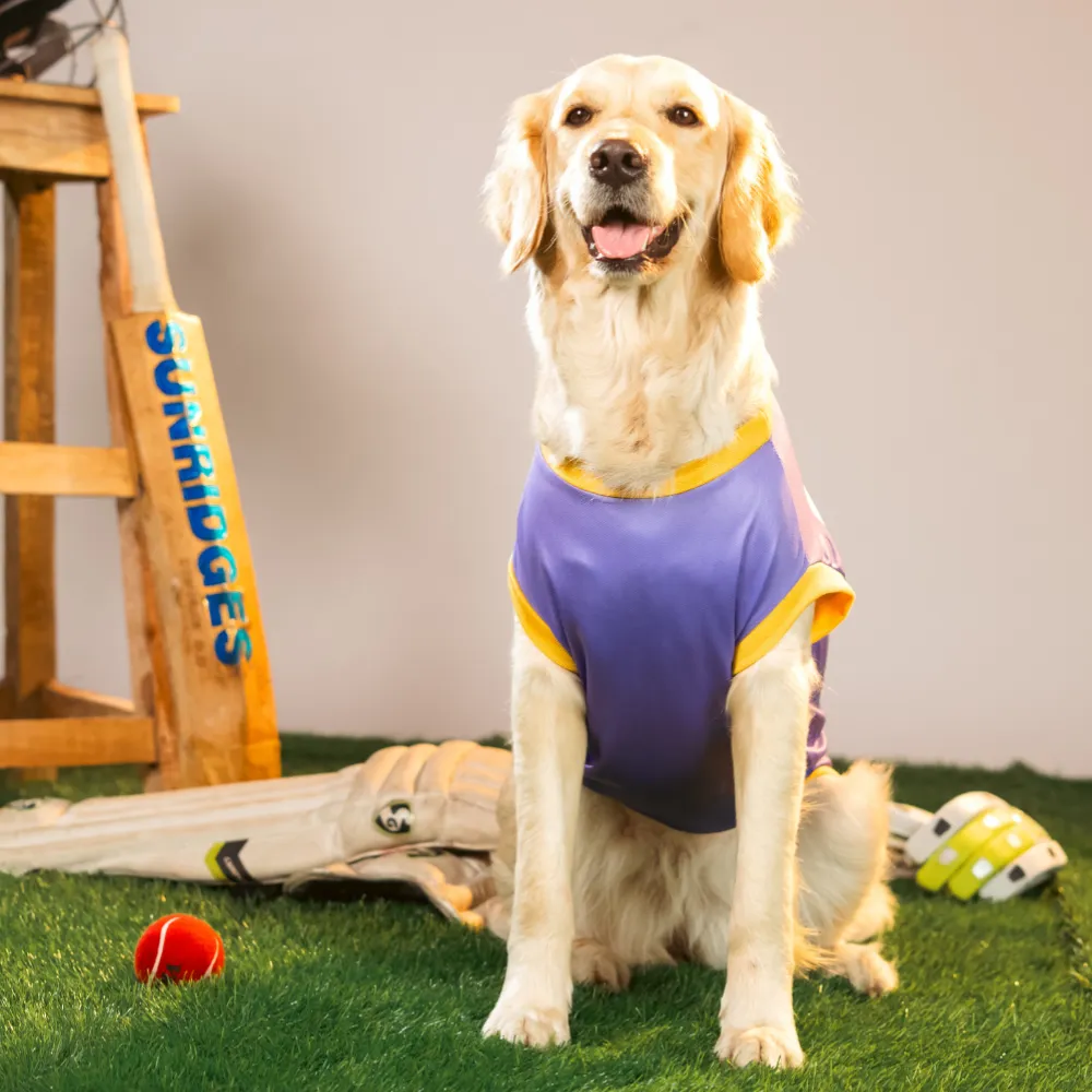 Pet Set Go Kolkata Woof Gliders IPL Jersey for Dogs (Purple)