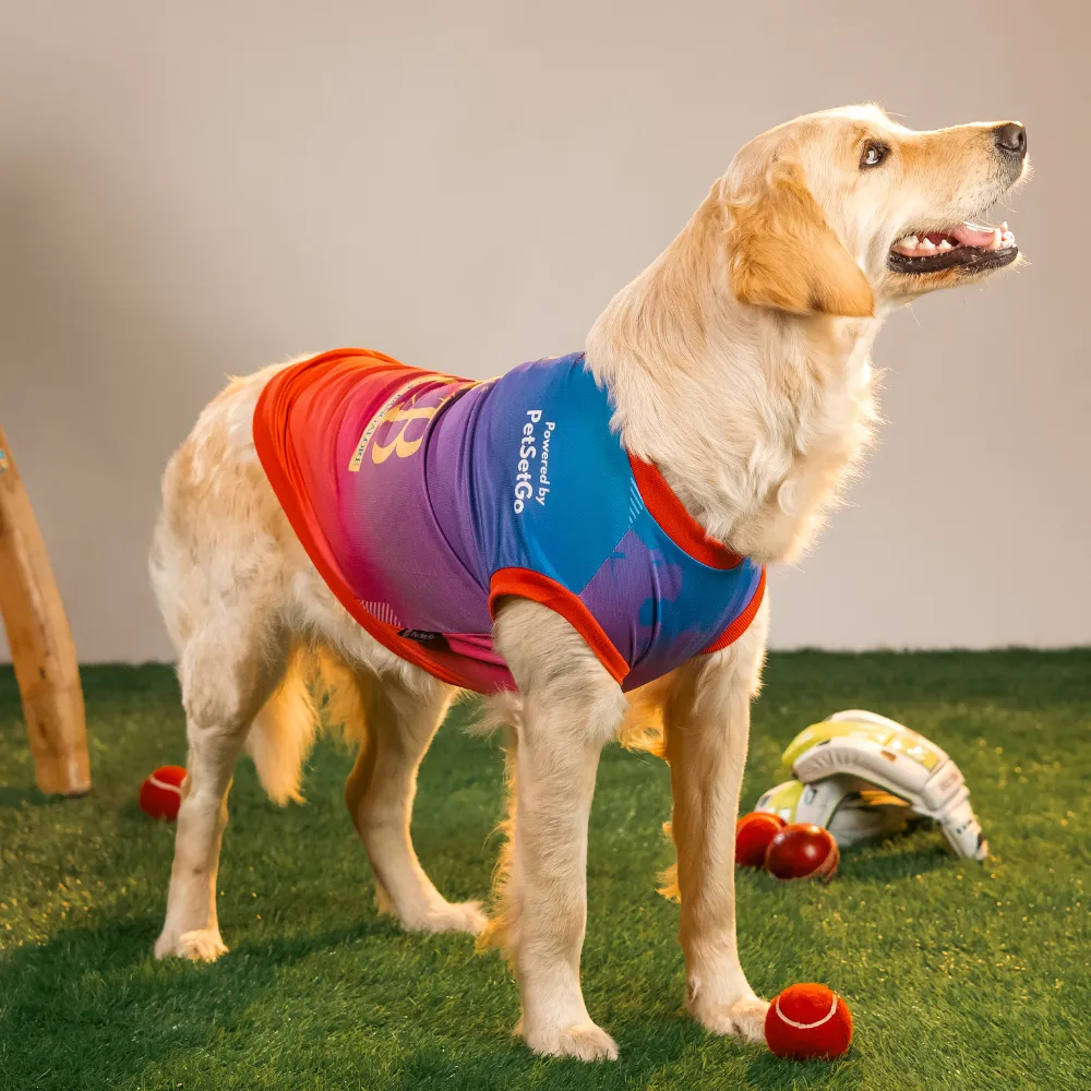 Pet Set Go Loyal Chewers Bangalore IPL Jersey for Dogs (Red)