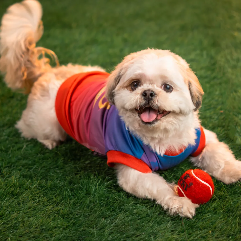 Pet Set Go Loyal Chewers Bangalore IPL Jersey for Dogs (Red)