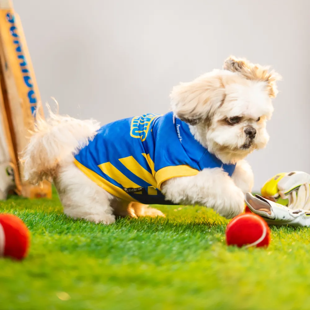 Pet Set Go Mumbai Woofians IPL Jersey for Dogs (Blue)