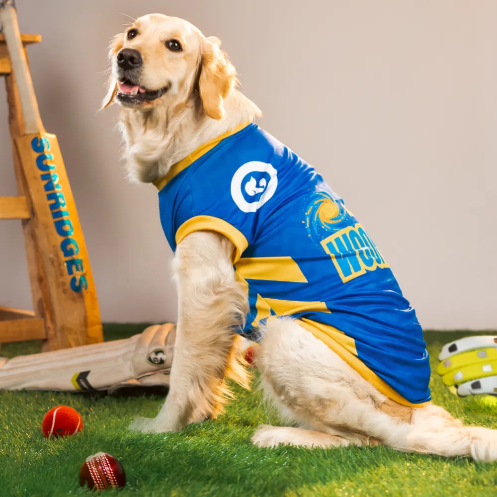 Pet Set Go Mumbai Woofians IPL Jersey for Dogs (Blue)