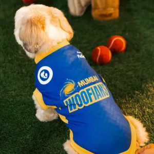 Pet Set Go Mumbai Woofians IPL Jersey for Dogs (Blue)