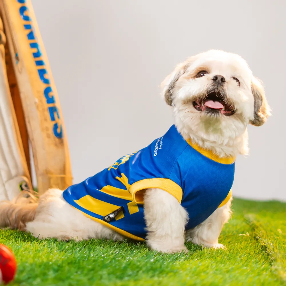 Pet Set Go Mumbai Woofians IPL Jersey for Dogs (Blue)