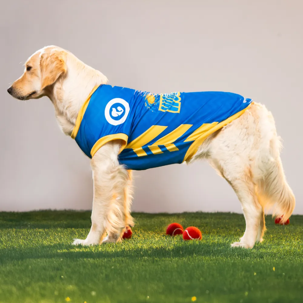 Pet Set Go Mumbai Woofians IPL Jersey for Dogs (Blue)