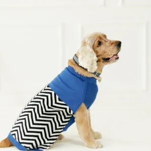 Pet Set Go Raisins Sweater for Dogs and Cats (Blue & Black)