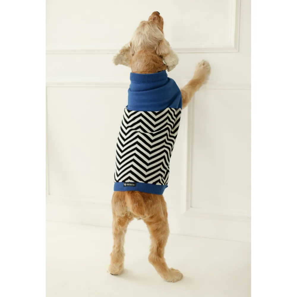 Pet Set Go Raisins Sweater for Dogs and Cats (Blue & Black)