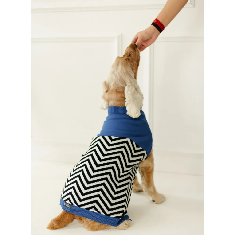 Pet Set Go Raisins Sweater for Dogs and Cats (Blue & Black)