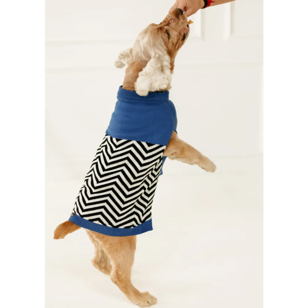 Pet Set Go Raisins Sweater for Dogs and Cats (Blue & Black)