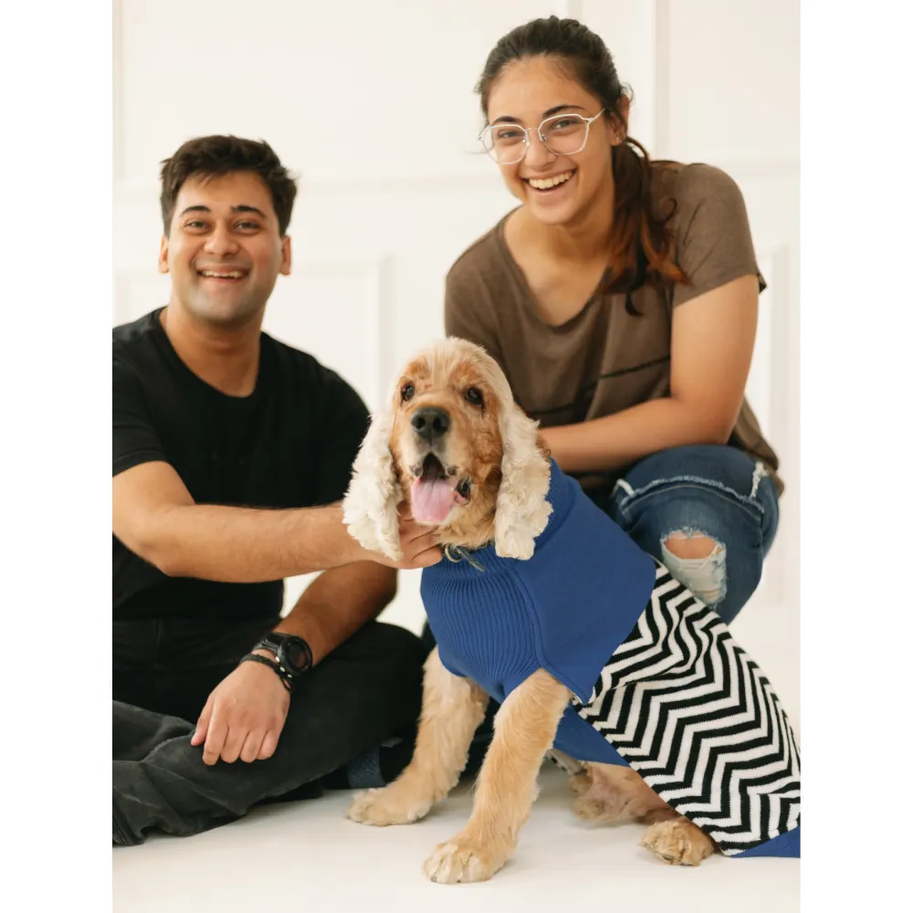 Pet Set Go Raisins Sweater for Dogs and Cats (Blue & Black)