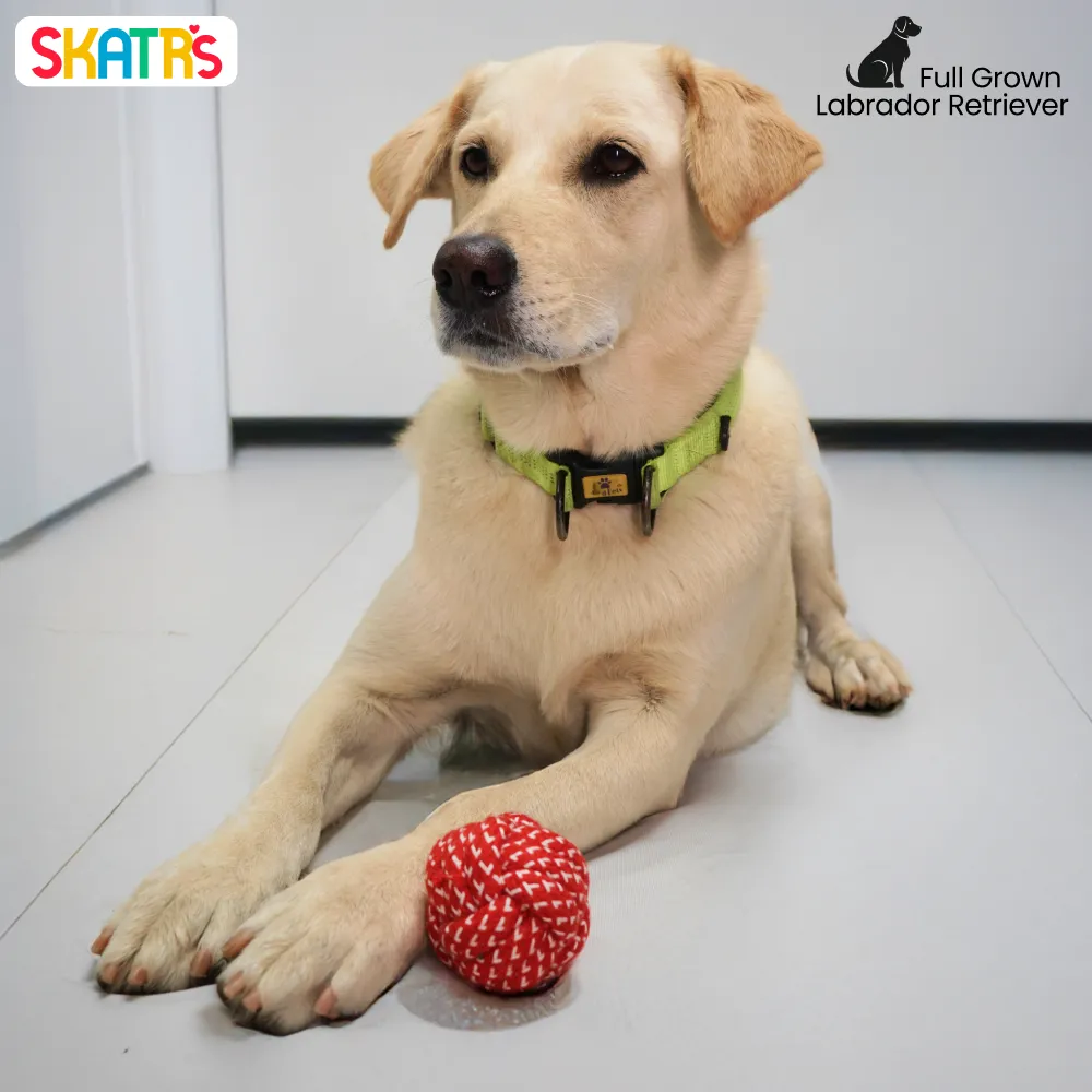 Pet Vogue Bouncy Rubber Ball & Skatrs Rope Ball Chew Toy Dog Combo