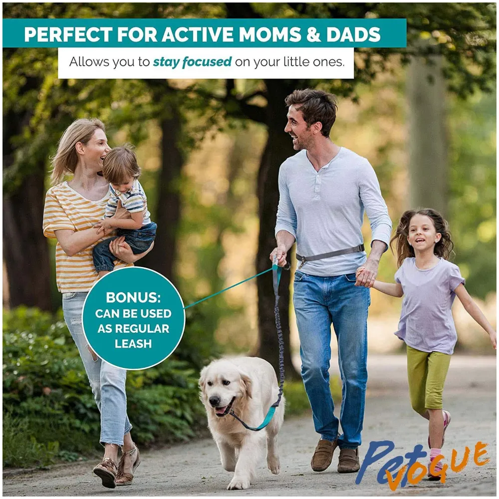 Pet Vogue Shock Proof Hands-Free Dog Leash for Medium and Large Dogs (5ft)