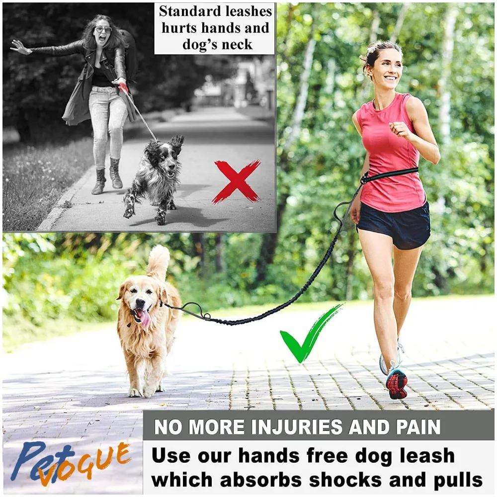 Pet Vogue Shock Proof Hands-Free Dog Leash for Medium and Large Dogs (5ft)