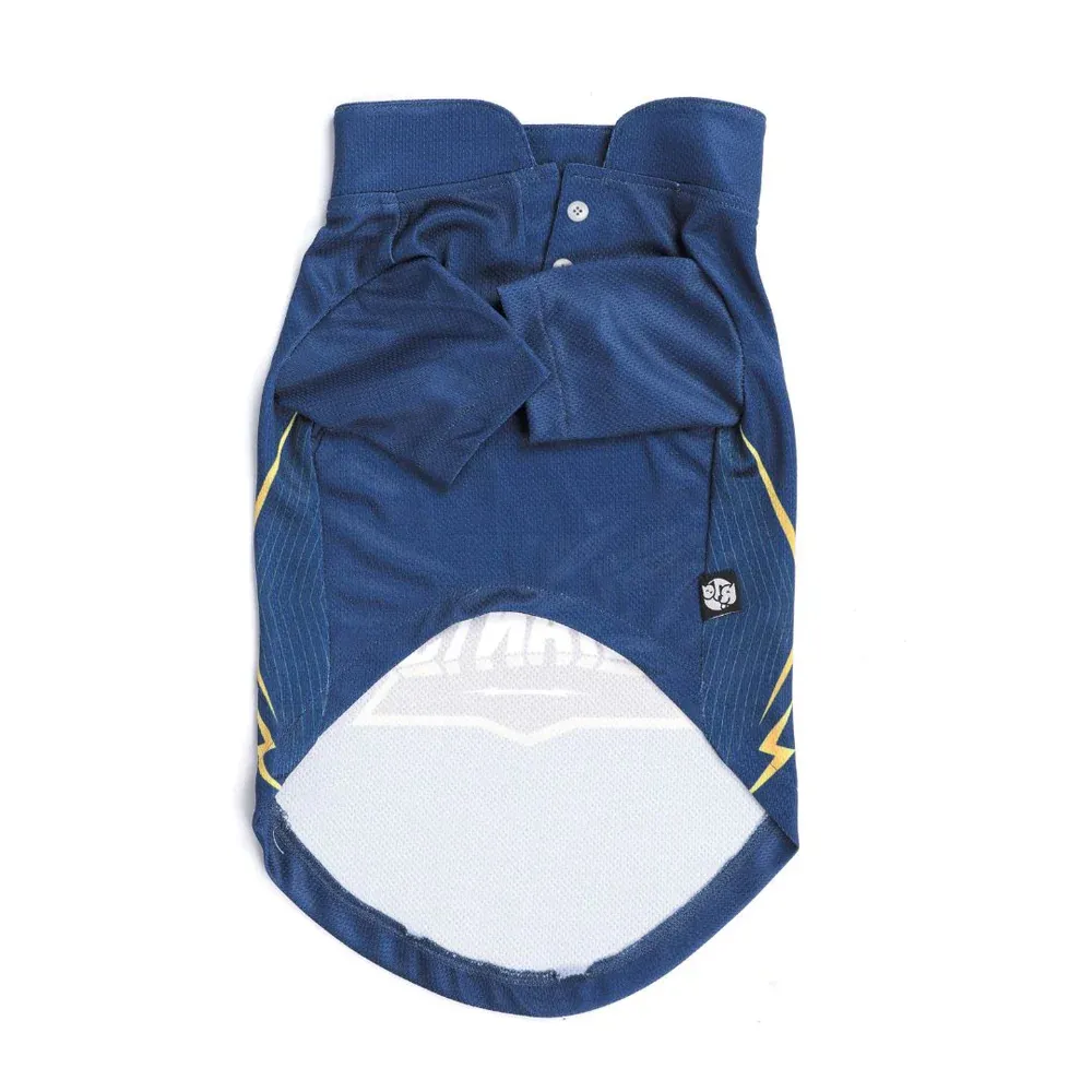 Pets Way Gujarat Giants IPL Jersey for Dogs and Cats (Blue)