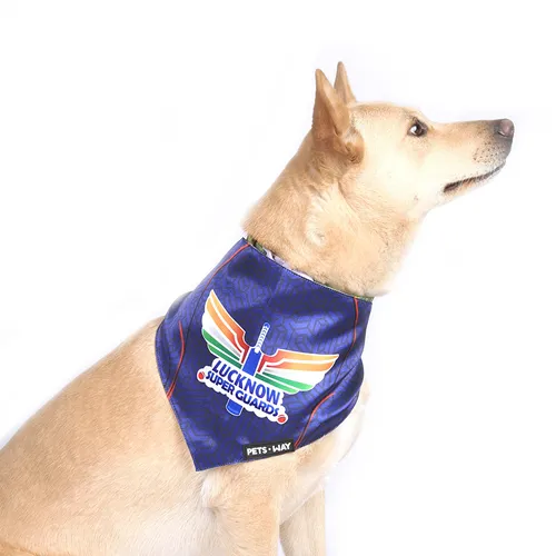 Pets Way Lucknow Super Guards IPL Bandana for Dogs and Cats (Blue)
