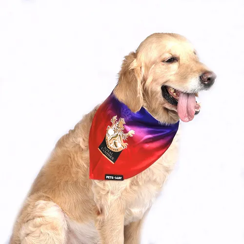 Pets Way Royal Canines Bangalore IPL Bandana for Dogs and Cats (Red)