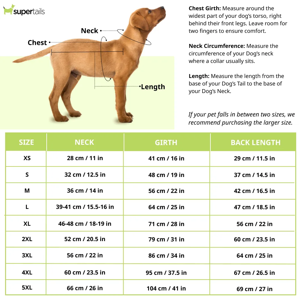 Pets Way Royal Canines Bangalore IPL Jersey for Dogs and Cats (Red/Blue)