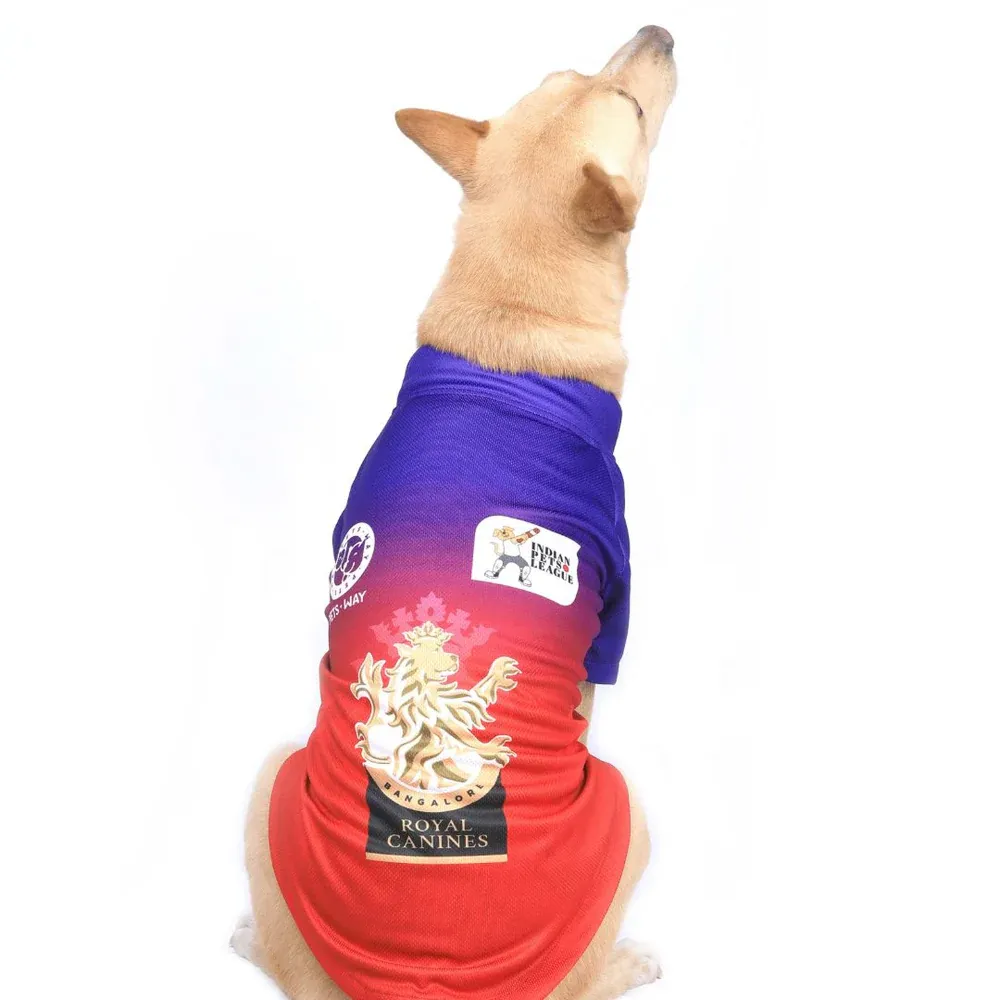 Pets Way Royal Canines Bangalore IPL Jersey for Dogs and Cats (Red/Blue)