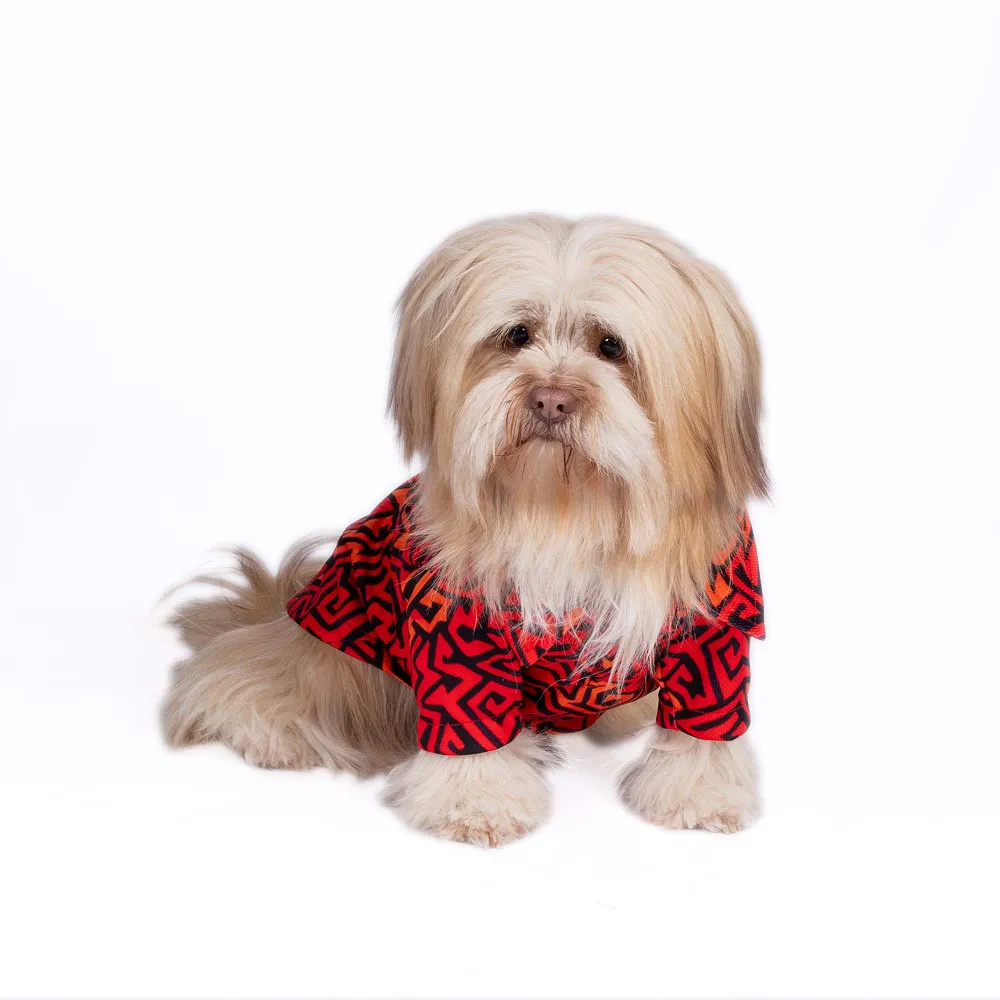 Pets Way Sunriders Hyderabad IPL Jersey for Dogs and Cats (Orange/Black)