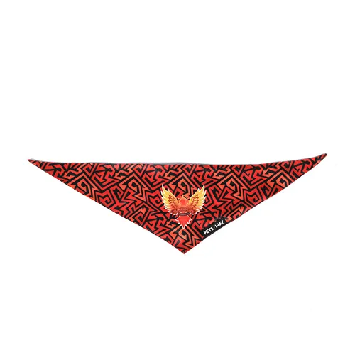 Pets Way Sunriders Hydrabad IPL Bandana for Dogs and Cats (Orange)