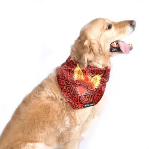 Pets Way Sunriders Hydrabad IPL Bandana for Dogs and Cats (Orange)
