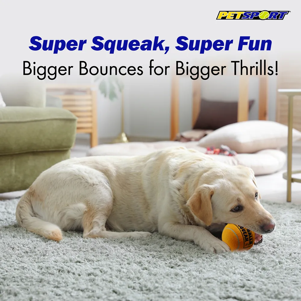 Petsport Giant Squeak Tuff Ball Toy for Dogs (Orange)