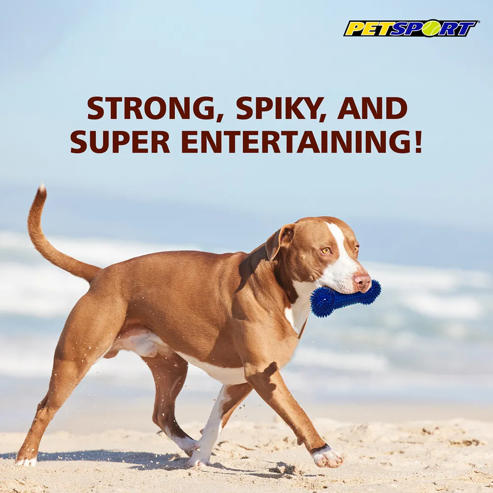 Petsport Gorilla Spiky Bone Toy for Dogs (Blue & Red)