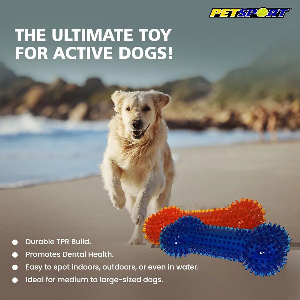 Petsport Gorilla Spiky Bone Toy for Dogs (Blue & Red)