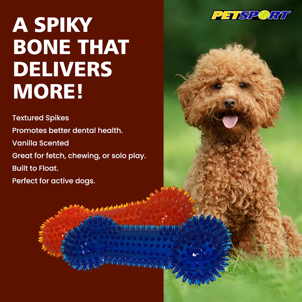 Petsport Gorilla Spiky Bone Toy for Dogs (Blue & Red)