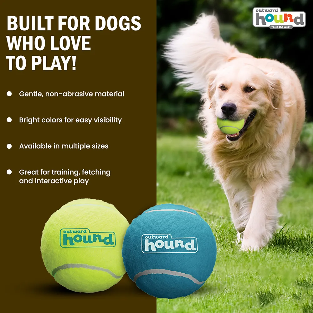 Petstages Squeaker Ballz Toy for Dogs (Blue/Green)
