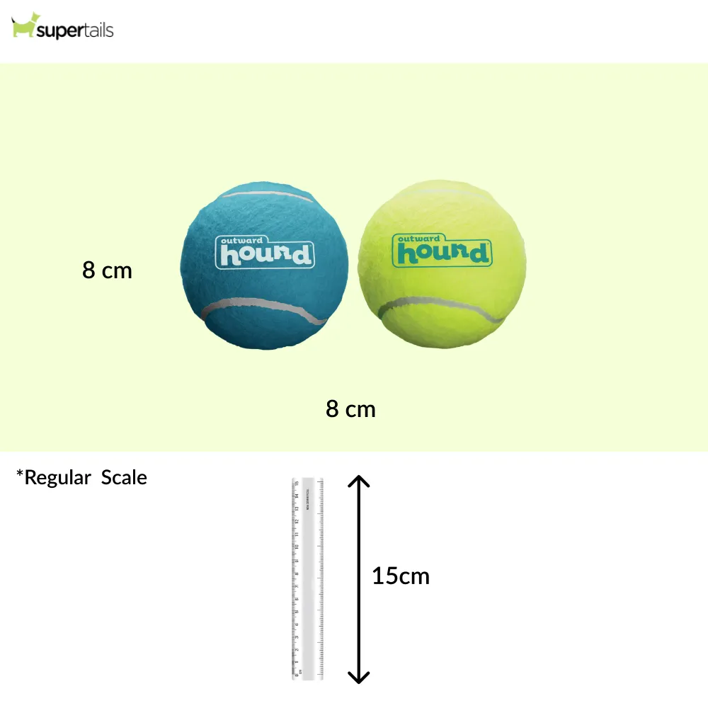 Petstages Squeaker Ballz Toy for Dogs (Blue/Green)